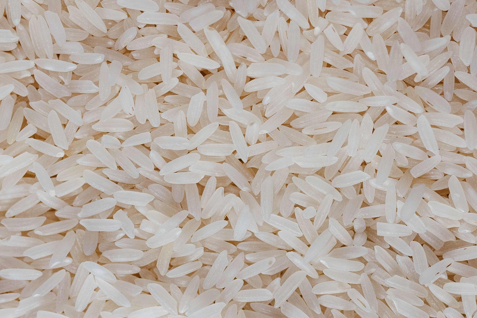 Grains of rice